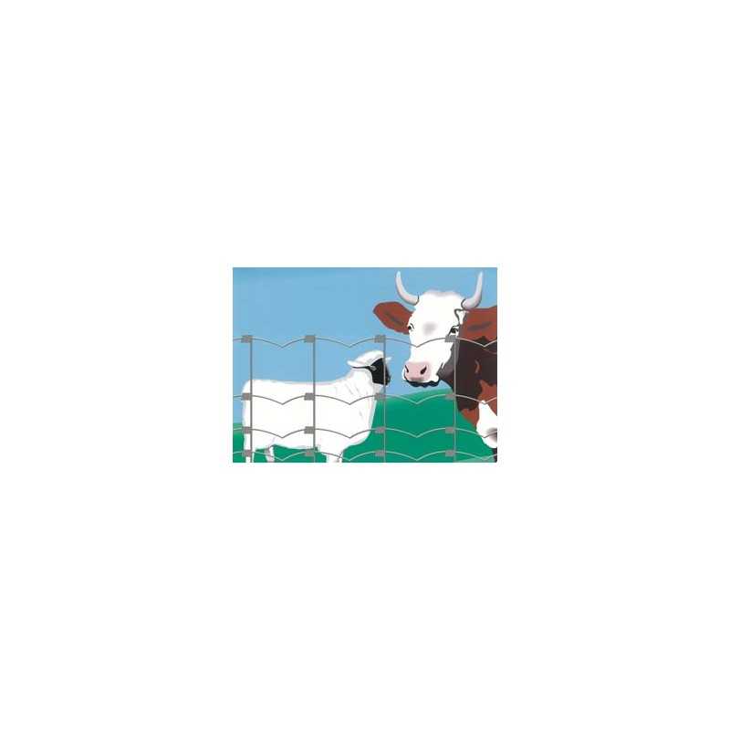 RETE PECORE*ITALY* CM100/8/30 MT100 RETE PECORE*ITALY* CM100/8/30 MT100