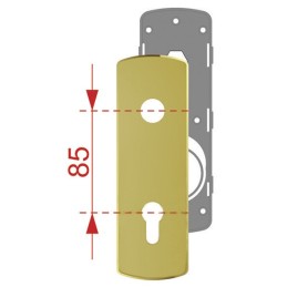 PLACCA DISEC KI1903P X MANIGLIA-CILINDRO SAGOMATO