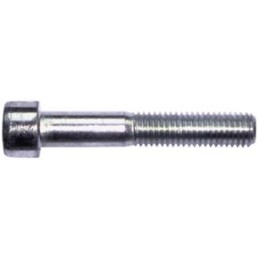 VITI BRUGOLA 10X 60 TC 8.8 ZINC5931