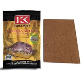 COLLA TOPICIDA KOLRAT BLI.2 TAVOLET
